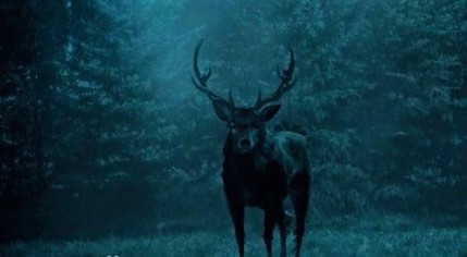 Hannibal - Deer